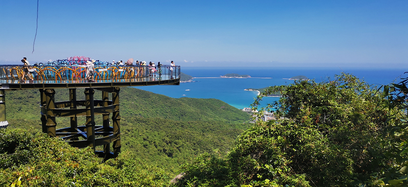 We were on the glass plank road in Tropical Paradise Forest Park