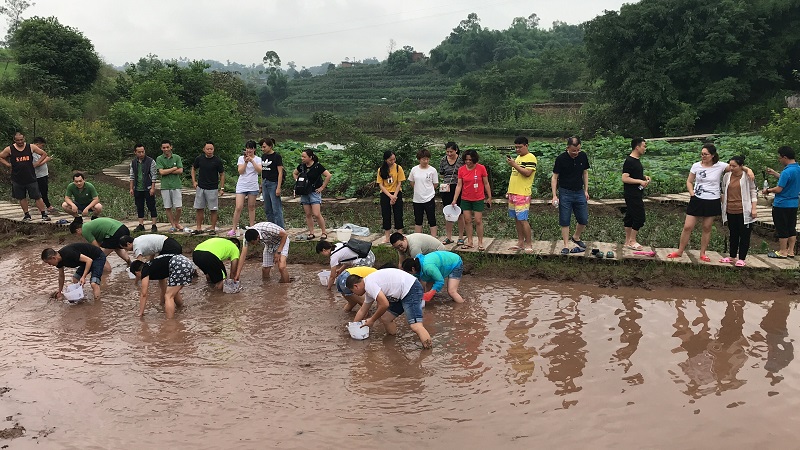 Newsletter on the first team building activity of key employees