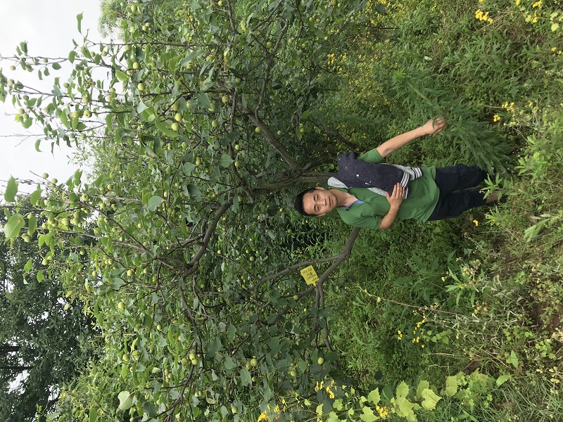 Newsletter on the first team building activity of key employees