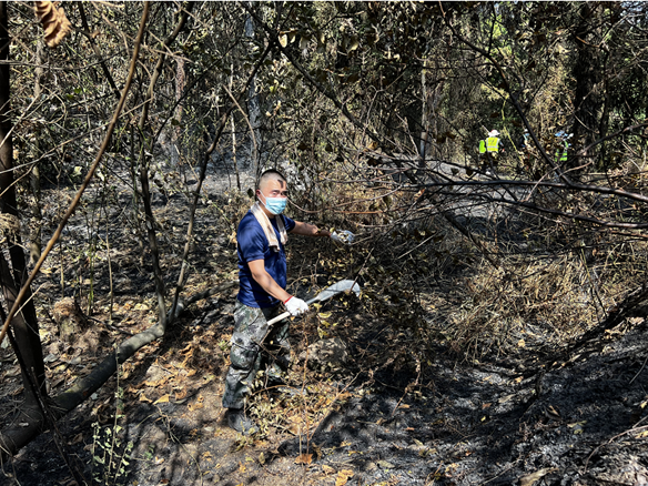 Mountain fires have no lovers, but people around the world are heading backwards