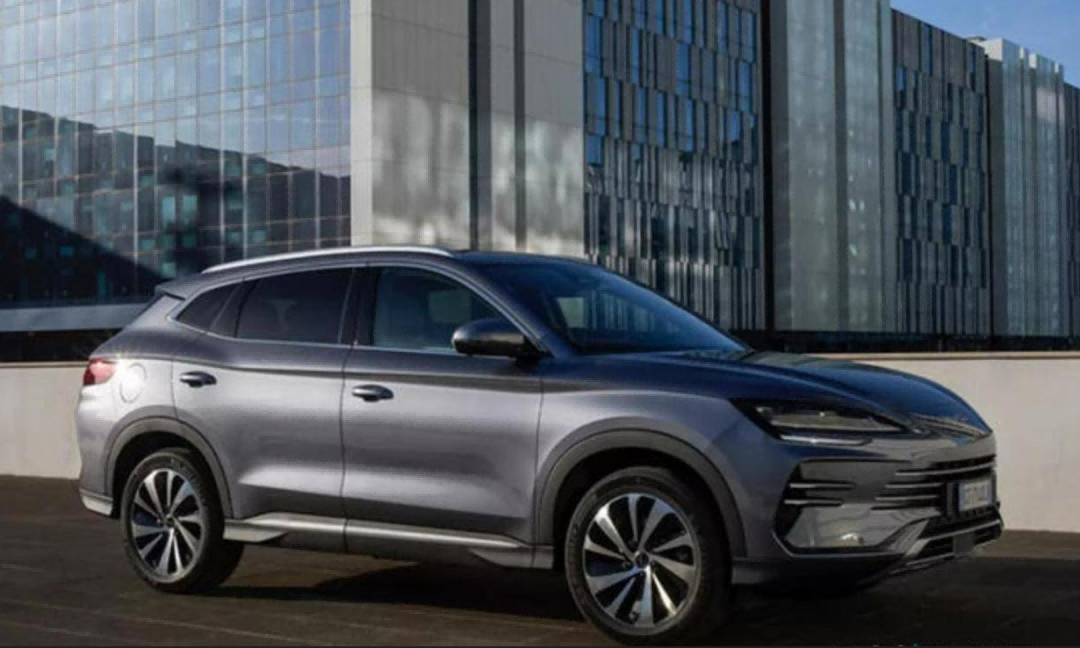 Killing crazy! The export 