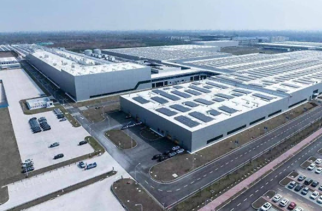 Killing crazy! The export 