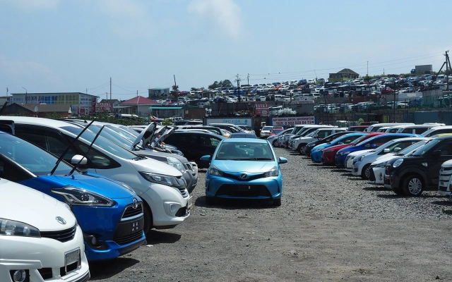 How did parallel imports survive after Russia's 