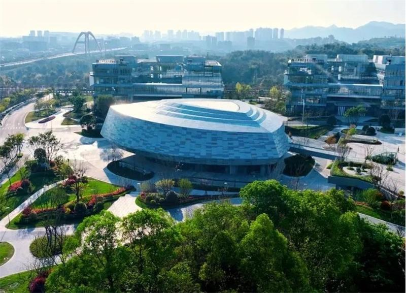 Nine years of deep cultivation in the Chongqing Pilot Free Trade Zone, leveraging the opening up with a 