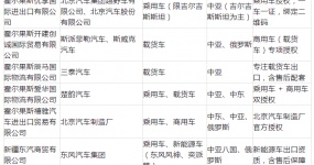 Only 7 of the 1264 authorized companies have registered Horgos. Can car exports still enter the bureau in 2026?