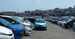 How did parallel imports survive after Russia's 