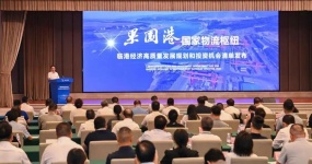 Focusing on the Two Sessions 丨 Chongqing Exploration: From 