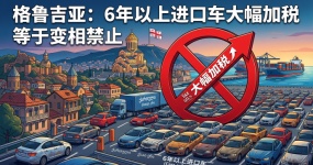 Georgia has significantly increased taxes on imported cars more than 6 years ago, which the industry says is equivalent to a disguised ban