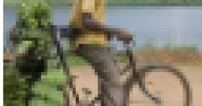 The undervalued African market! Mali's next blue ocean market for used car exports