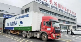 Nine years of deep cultivation in the Chongqing Pilot Free Trade Zone, leveraging the opening up with a 