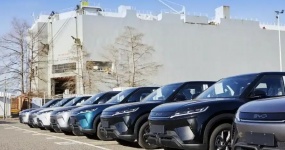 China brands almost dominate the Argentine pure electric vehicle market