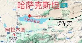 Almaty suspends vehicle customs clearance?